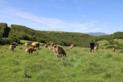 2018_07_lejuca_front_020