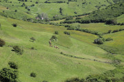 2018_07_lejuca_front_035