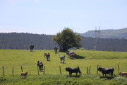 2018_07_lejuca_front_052