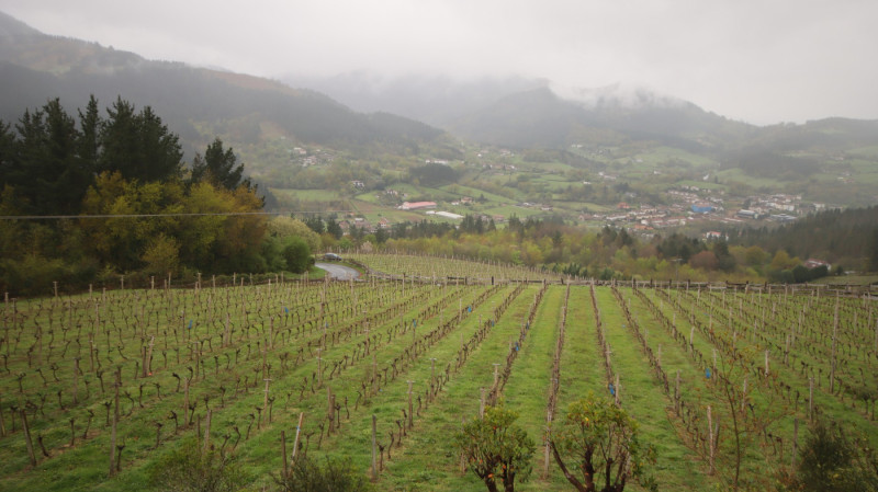 2026_04_garena_gal_010