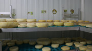 2025_05_granja_sierra_queso_005