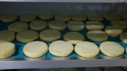 2025_05_granja_sierra_queso_006