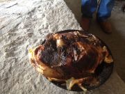 haciendo_pan_castroverde_1034