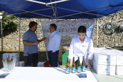 2024_08_vino_isla_2024_003