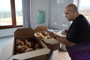 2025_05_bodegas_prep_005