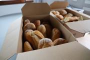 2025_05_bodegas_prep_006