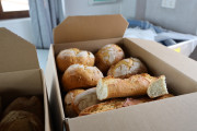 2025_05_bodegas_prep_007