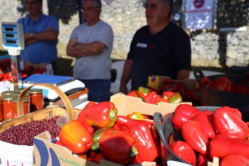 09_2026_ferisla_2026_041