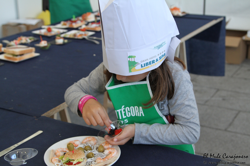 10_2015_necora_concur_peq_040