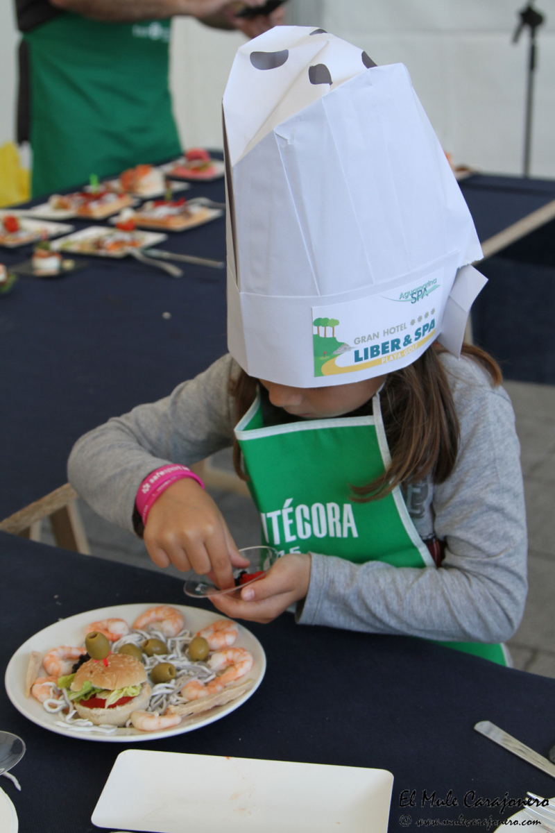 10_2015_necora_concur_peq_041