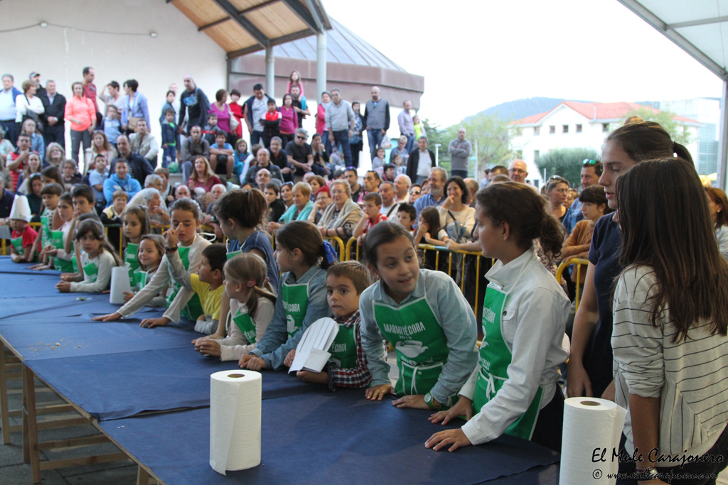 10_2015_necora_concur_premios_001