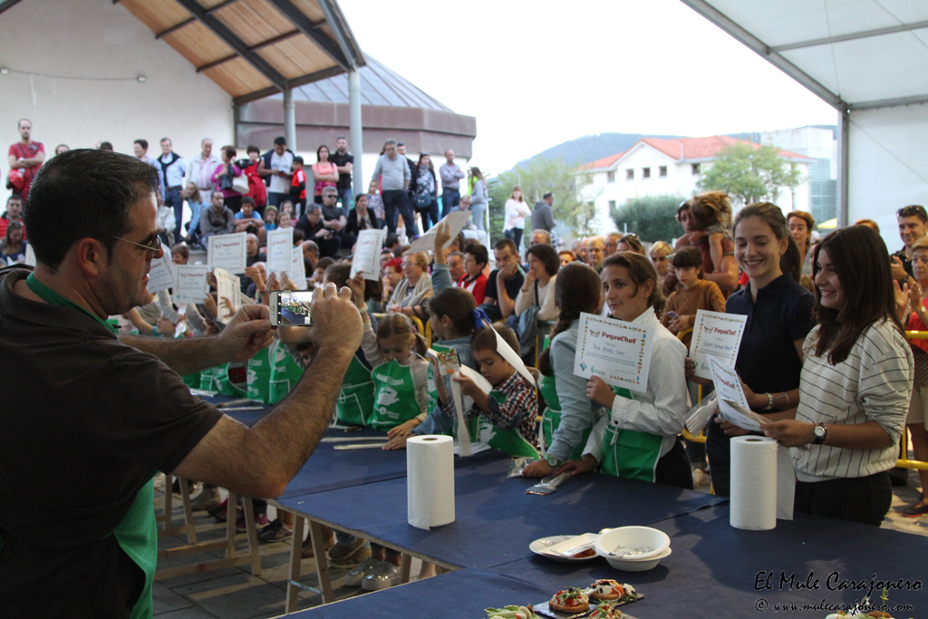 10_2015_necora_concur_premios_006