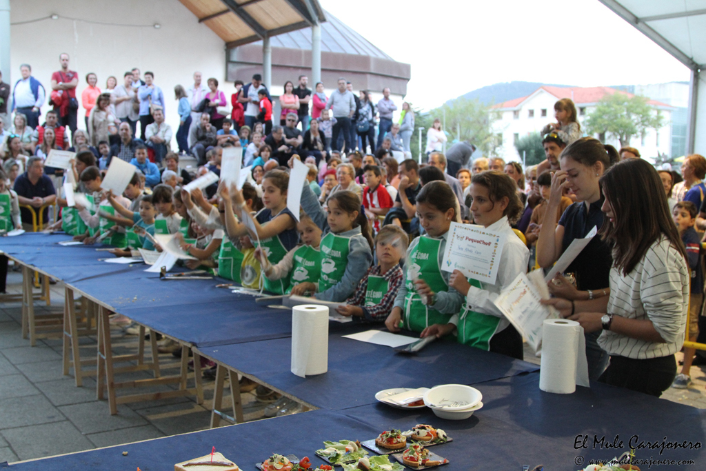 10_2015_necora_concur_premios_008