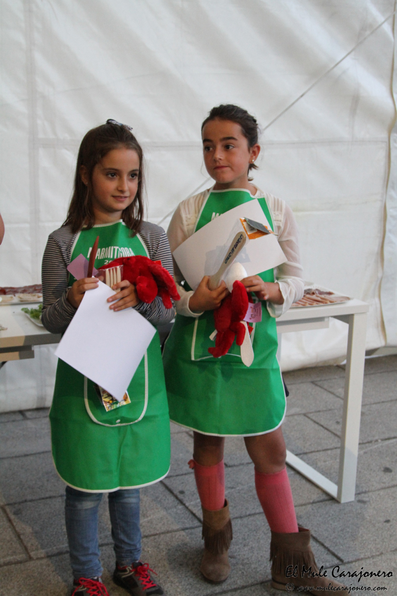10_2015_necora_concur_premios_027