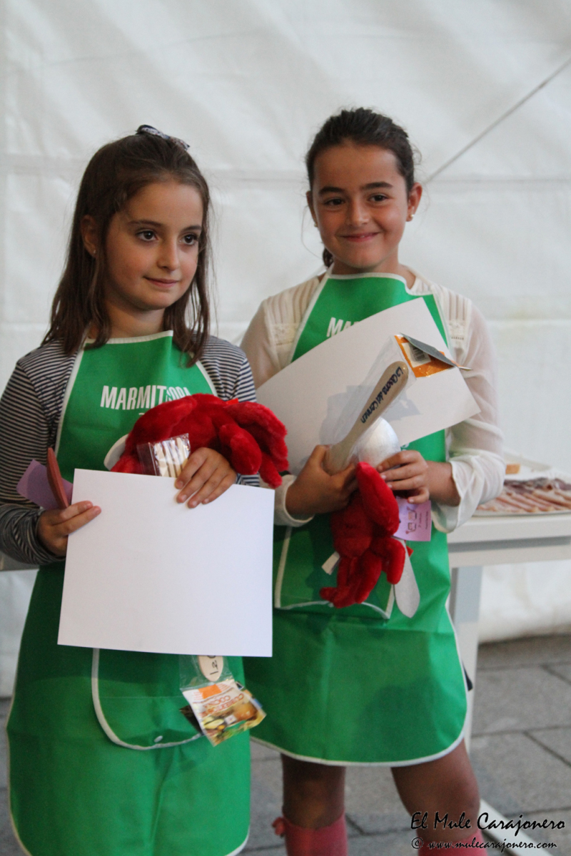 10_2015_necora_concur_premios_028