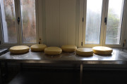 2021_08_queso_pasto_002
