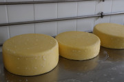 2021_08_queso_pasto_005
