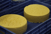 2021_08_queso_pasto_021