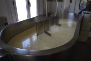 2021_08_queso_pasto_024