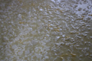 2021_08_queso_pasto_029