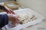 jornadas_cachon_huerta_2015_002