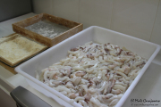 jornadas_cachon_huerta_2015_003