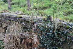 02_2023_quesoba_0018