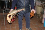 IMG_8168