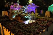 fiesta_necora_2013_032