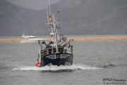 2014_05_anchoa_descarga_003