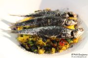 2014_05_anchoa_mclass_058