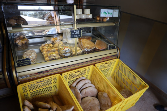 2020_09_panaderia_vieda_1600_005