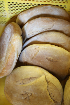 2020_09_panaderia_vieda_1600_008