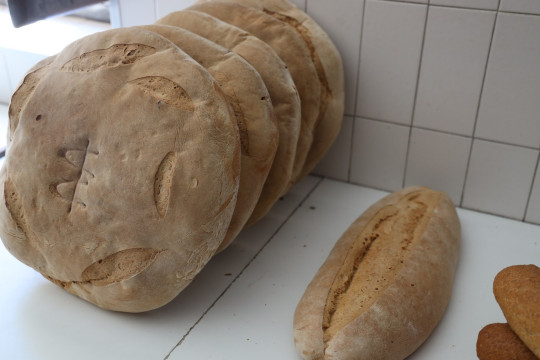 2020_09_panaderia_vieda_1600_009