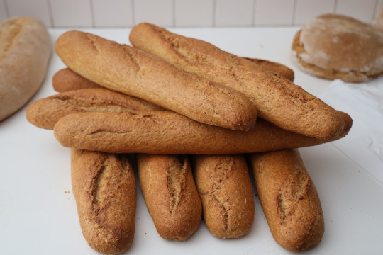 2020_09_panaderia_vieda_1600_010