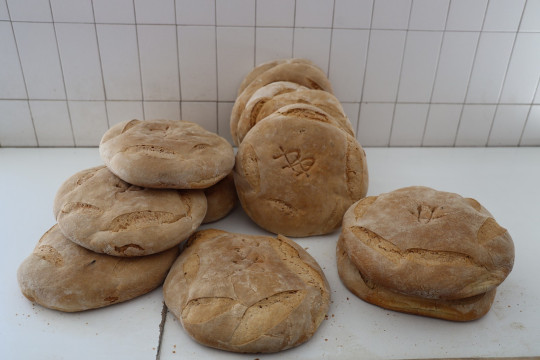 2020_09_panaderia_vieda_1600_014