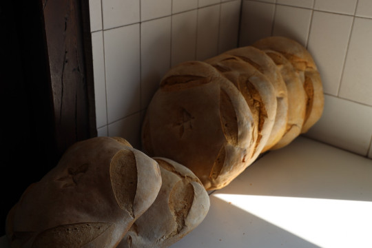 2020_09_panaderia_vieda_1600_015