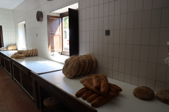 2020_09_panaderia_vieda_1600_020