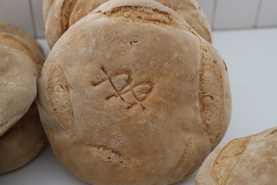 2020_09_panaderia_vieda_1600_024