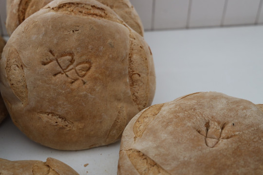 2020_09_panaderia_vieda_1600_025