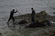 10_2015_recolectores_algas_005