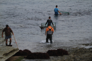 10_2015_recolectores_algas_006