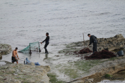 10_2015_recolectores_algas_016