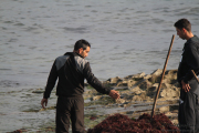 10_2015_recolectores_algas_021