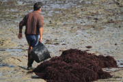 10_2015_recolectores_algas_025
