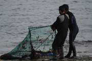10_2015_recolectores_algas_027
