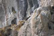 07_2015_sotorrana_alles_parque_006