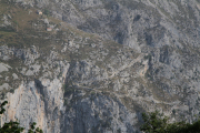 07_2015_sotorrana_alles_parque_019