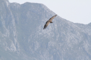 07_2015_sotorrana_alles_parque_027