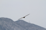 07_2015_sotorrana_alles_parque_029